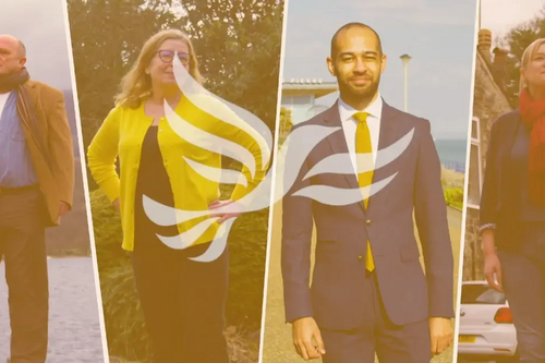 Liberal Democrat Superheroes and Activists